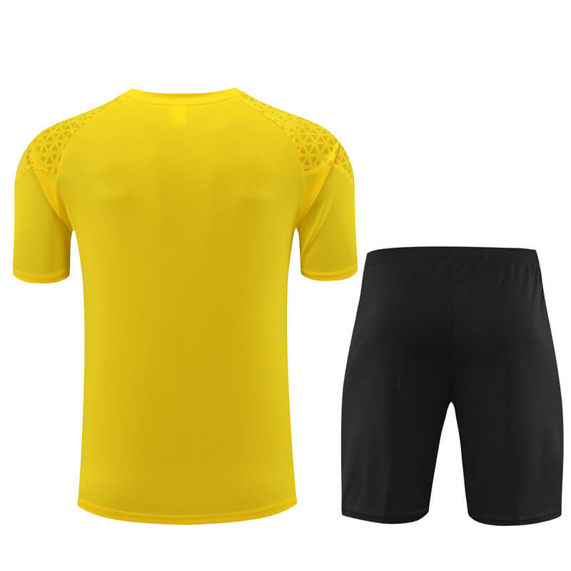 Camiseta de Entrenamiento de Borussia Dortmund 2023/2024 Amarillo